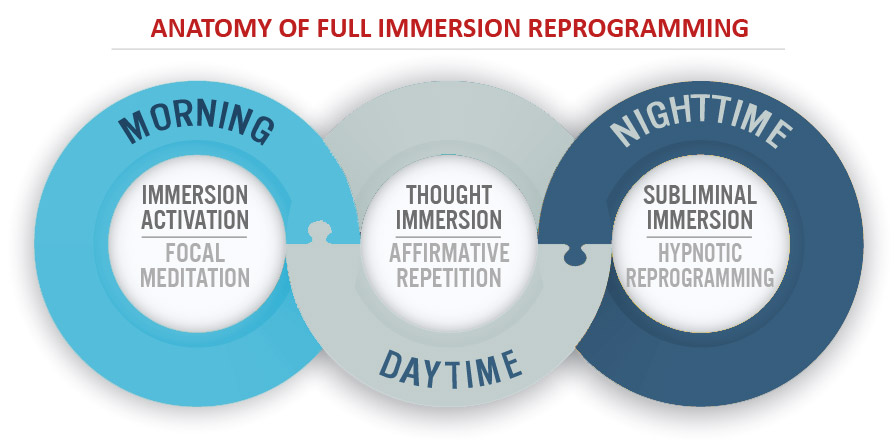 Anatomy of Full Immersion